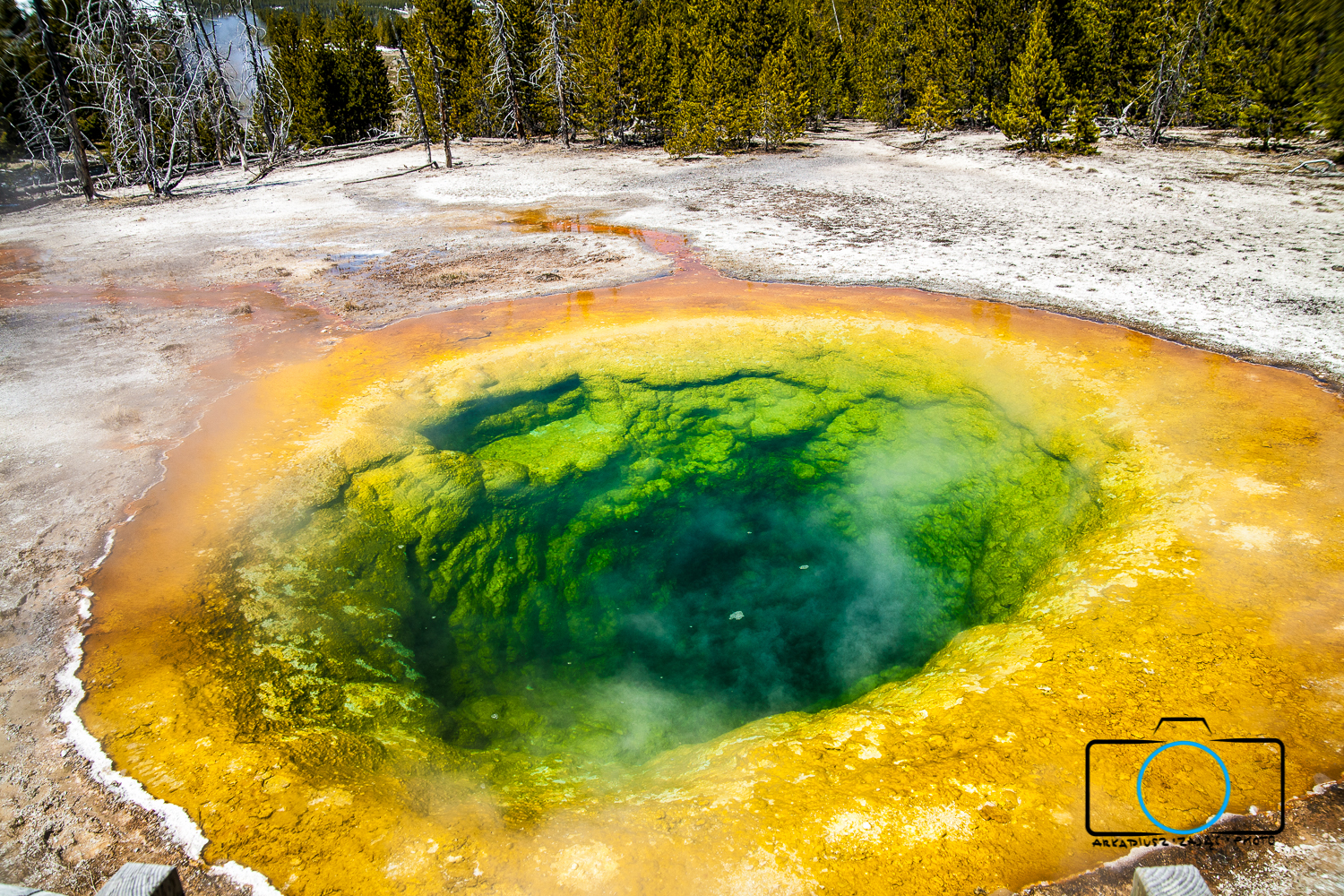 Park Yellowstone 2017
