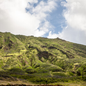 Hawaje (2017) Hawaje (2017)