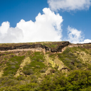 Hawaje (2017) Hawaje (2017)