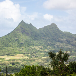 Hawaje (2017) Hawaje (2017)