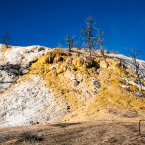 Park Yellowstone 2017 Park Yellowstone 2017