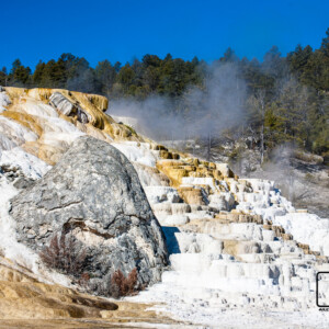 Park Yellowstone 2017 Park Yellowstone 2017