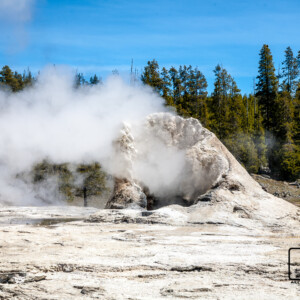 Park Yellowstone 2017 Park Yellowstone 2017