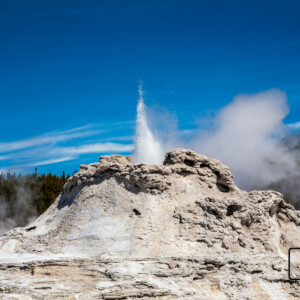 Park Yellowstone 2017 Park Yellowstone 2017