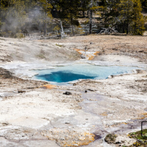 Park Yellowstone 2017 Park Yellowstone 2017