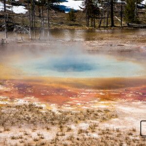 Park Yellowstone 2017 Park Yellowstone 2017