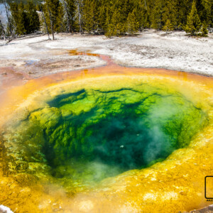 Park Yellowstone 2017 Park Yellowstone 2017