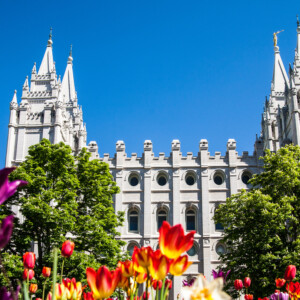 Salt Lake City (2017) Świątynia Mormonów w Salt Lake City