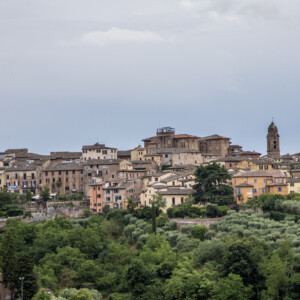 Siena (2024) Panorama Sieny w letni pogodny dzień