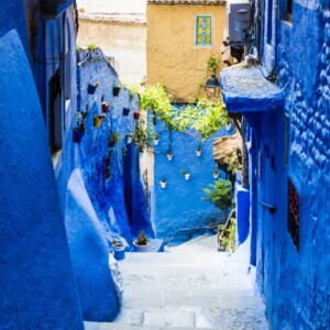 Szafszawan 2025 Szafszawan 2025