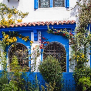 Szafszawan 2025 Szafszawan 2025