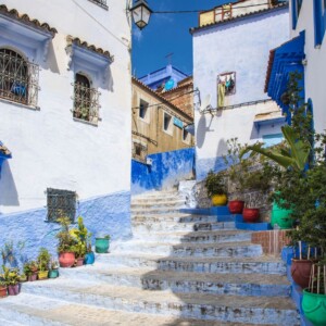 Szafszawan 2025 Szafszawan 2025