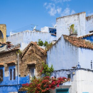 Szafszawan 2025 Szafszawan 2025