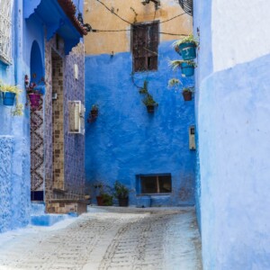 Szafszawan 2025 Szafszawan 2025